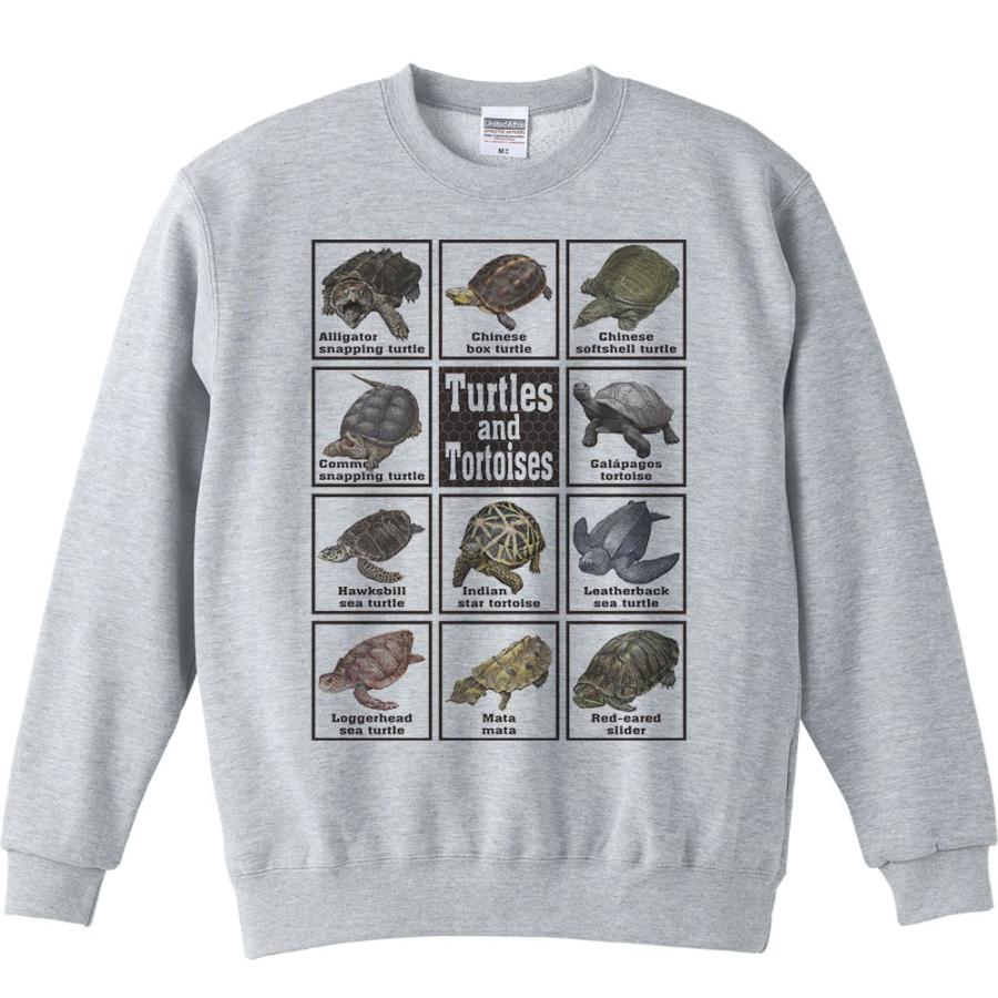 カメ大好き！/トレーナー |  | 01