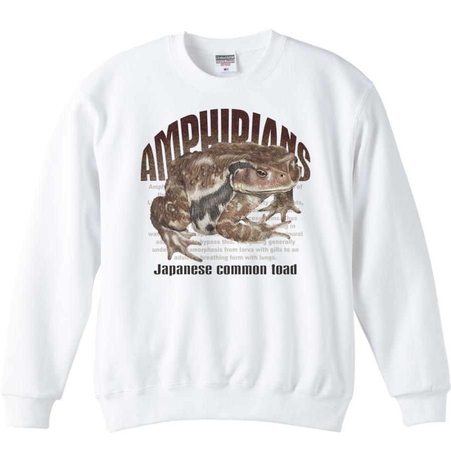 ヒキガエル（蛙）両生類シリーズ/トレーナー |  | 01