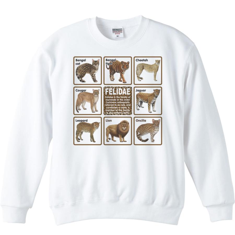 ネコ科の動物たち/トレーナー | 