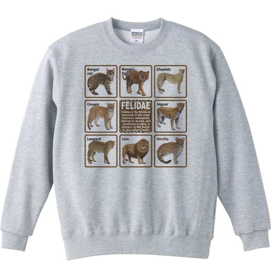 ネコ科の動物たち/トレーナー |  | 01