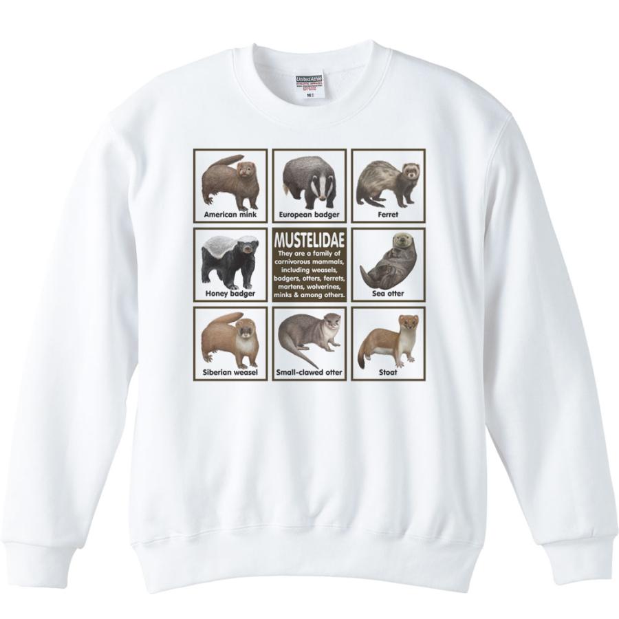 イタチの仲間たち/トレーナー | 