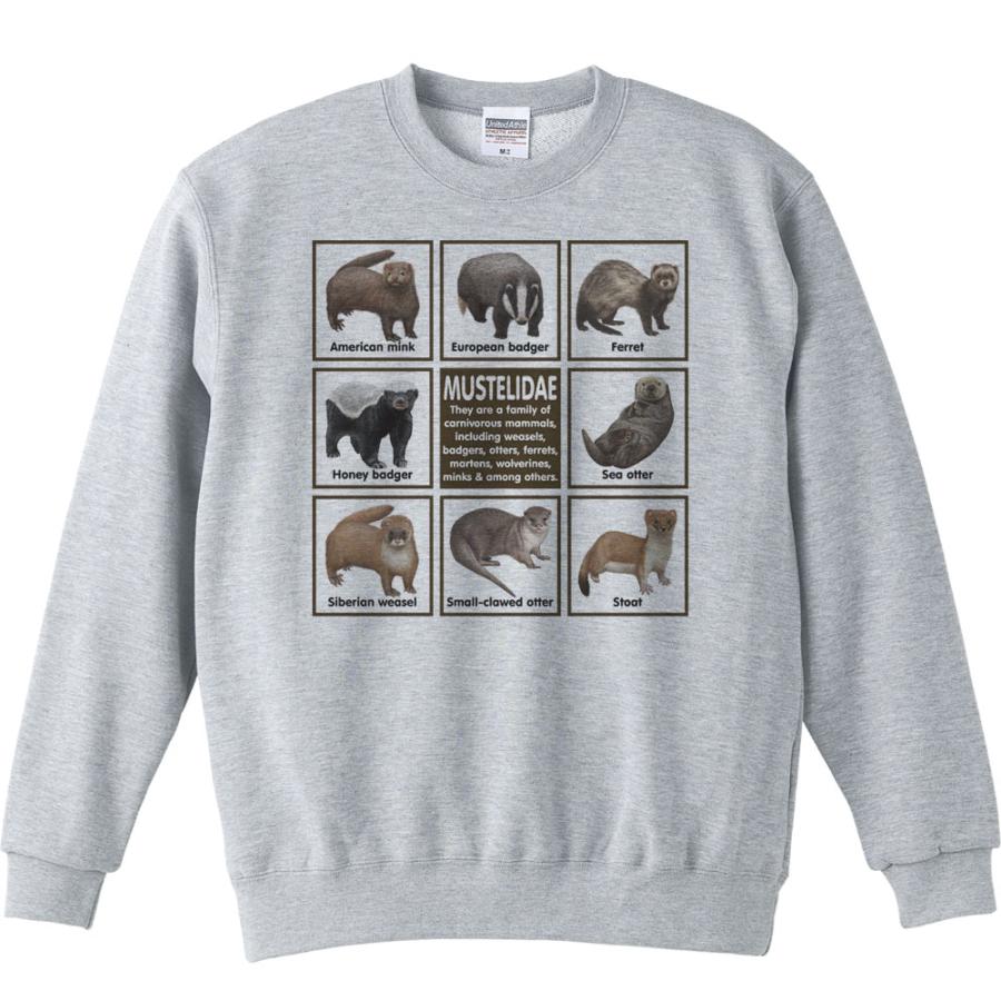 イタチの仲間たち/トレーナー |  | 01