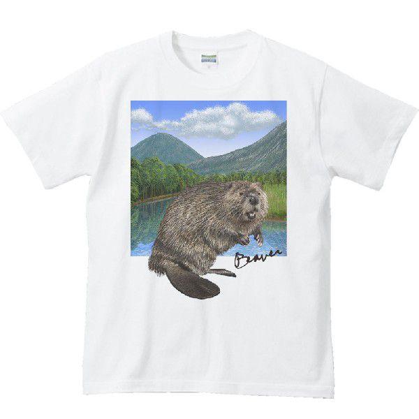 ビーバー ＋背景（びーばー）/半袖Ｔシャツ　　 |  | 01