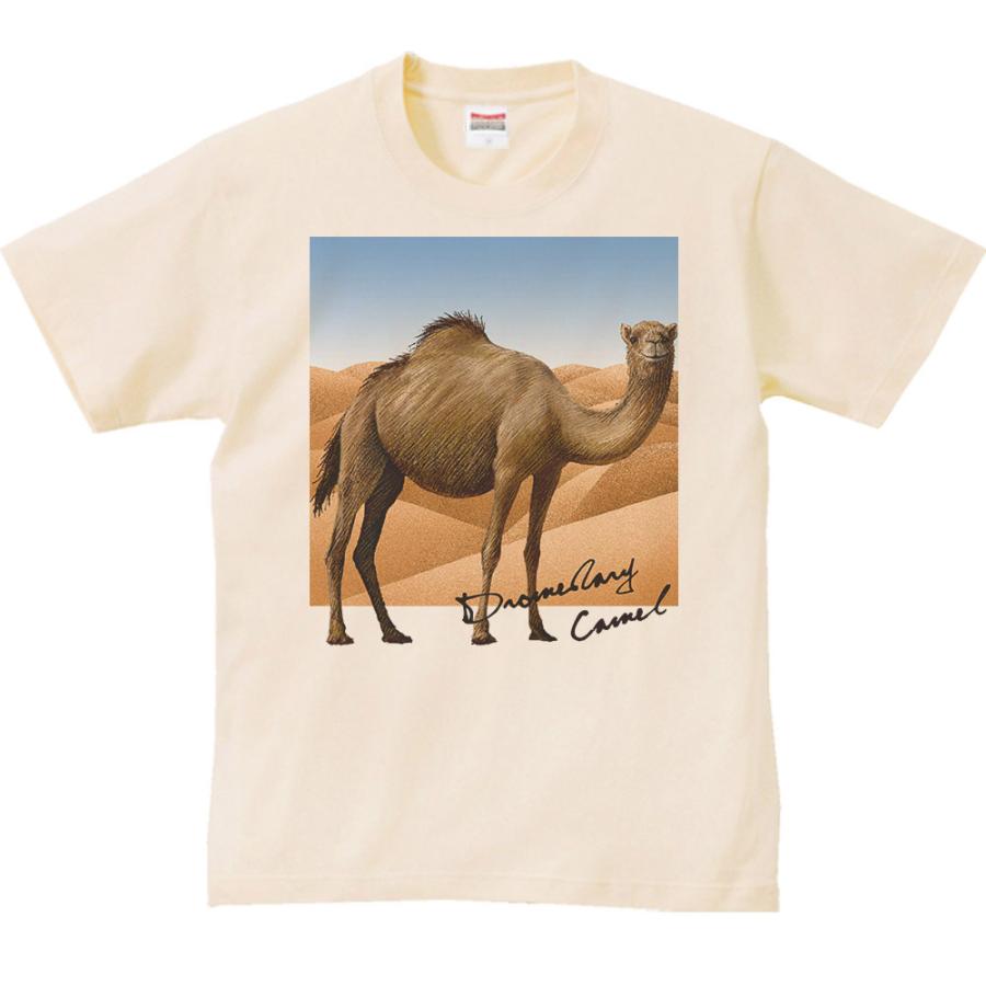 ラクダ の シャツ 高級