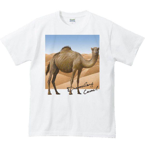 らくだ ＋背景（ヒトコブ ラクダ）/半袖Ｔシャツ　　 |  | 01