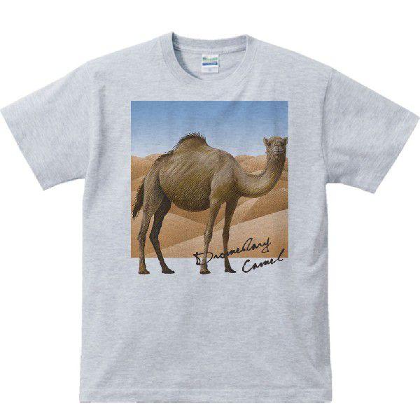 らくだ ＋背景（ヒトコブ ラクダ）/半袖Ｔシャツ　　 |  | 02