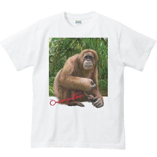 オランウータン ＋背景（おらんうーたん）/半袖Ｔシャツ　　 |  | 01