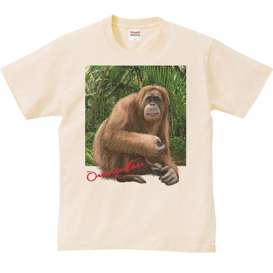 オランウータン ＋背景（おらんうーたん）/半袖Ｔシャツ　　 |  | 02