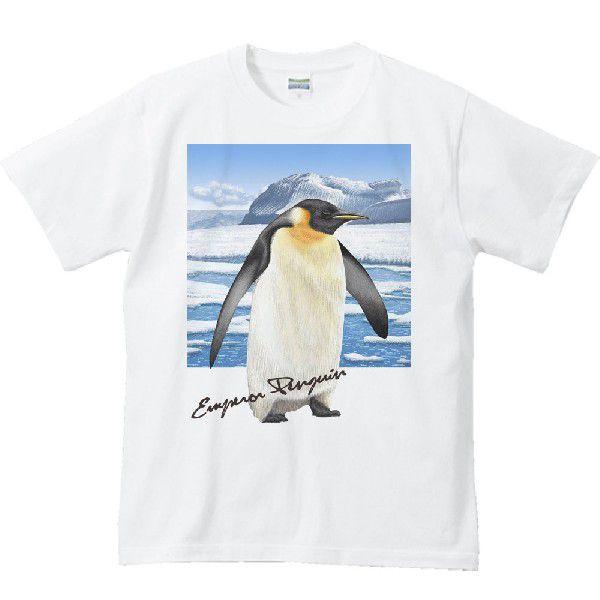 ペンギン ＋背景（皇帝ぺんぎん）/半袖Ｔシャツ　　 | 