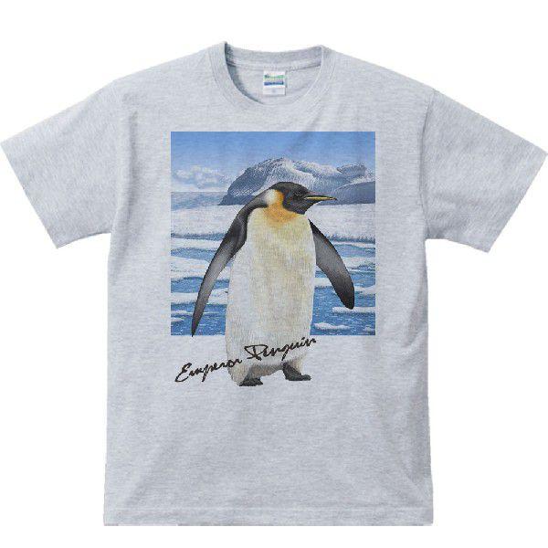 ペンギン ＋背景（皇帝ぺんぎん）/半袖Ｔシャツ　　 |  | 02