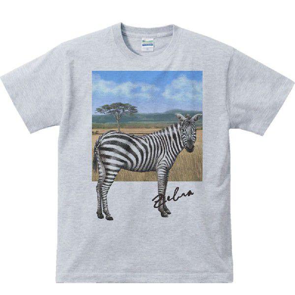 シマウマ ＋背景（しまうま）/半袖Ｔシャツ　　 | 