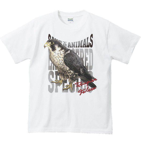 隼（はやぶさ）絶滅危惧動物（ハヤブサ）/半袖Ｔシャツ　　 | 