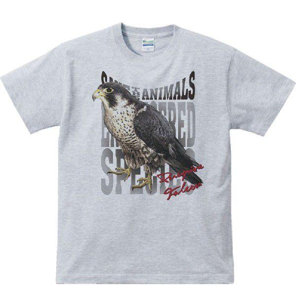 隼（はやぶさ）絶滅危惧動物（ハヤブサ）/半袖Ｔシャツ　　 |  | 02