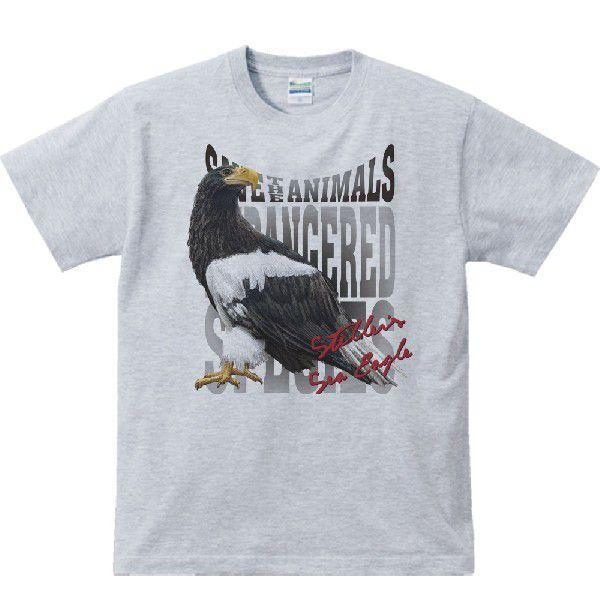 大鷲（おおわし）絶滅危惧動物（オオワシ）/半袖Ｔシャツ　　 |  | 02