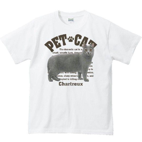 シャルトリュー（愛猫シリーズ）/半袖Ｔシャツ　　 |  | 01