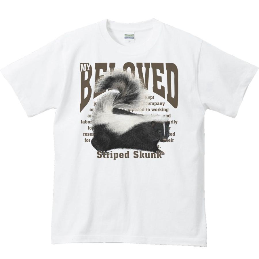 シマ スカンク/半袖Ｔシャツ　　 | 