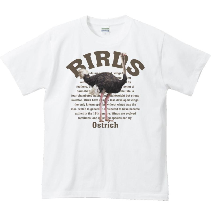ダチョウ（鳥シリーズ）/半袖Ｔシャツ　　 | 