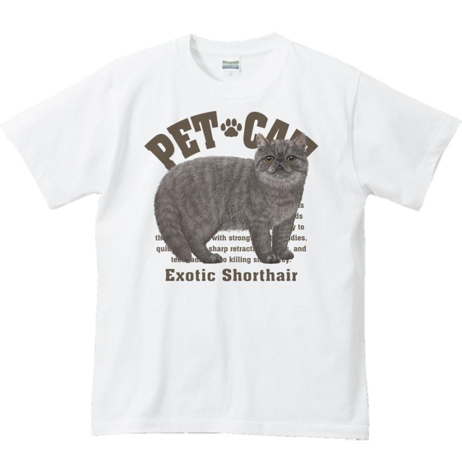 エキゾチック ショートヘア（愛猫シリーズ）/半袖Ｔシャツ　　 |  | 01