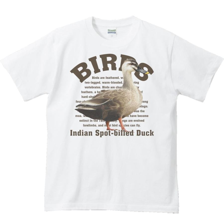 カルガモ（鳥シリーズ）/半袖Ｔシャツ　　 |  | 01