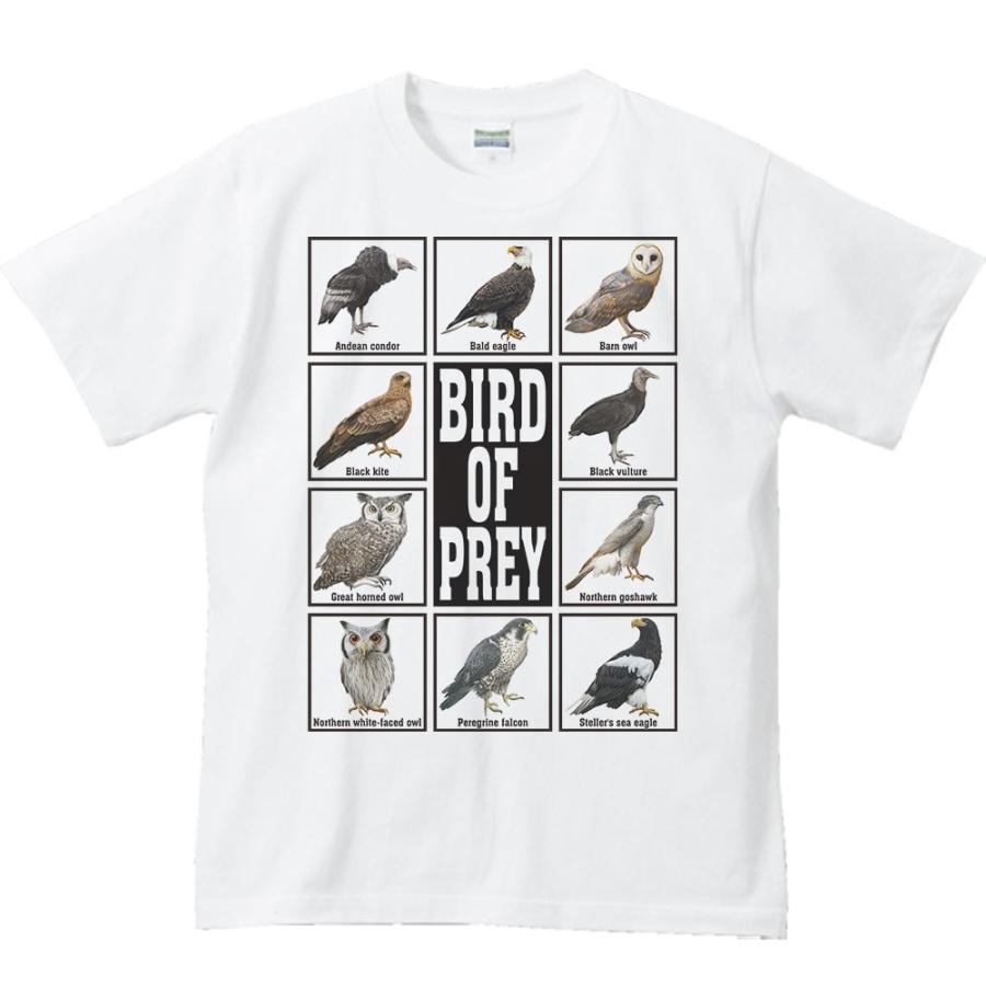 猛禽類/半袖Ｔシャツ | 