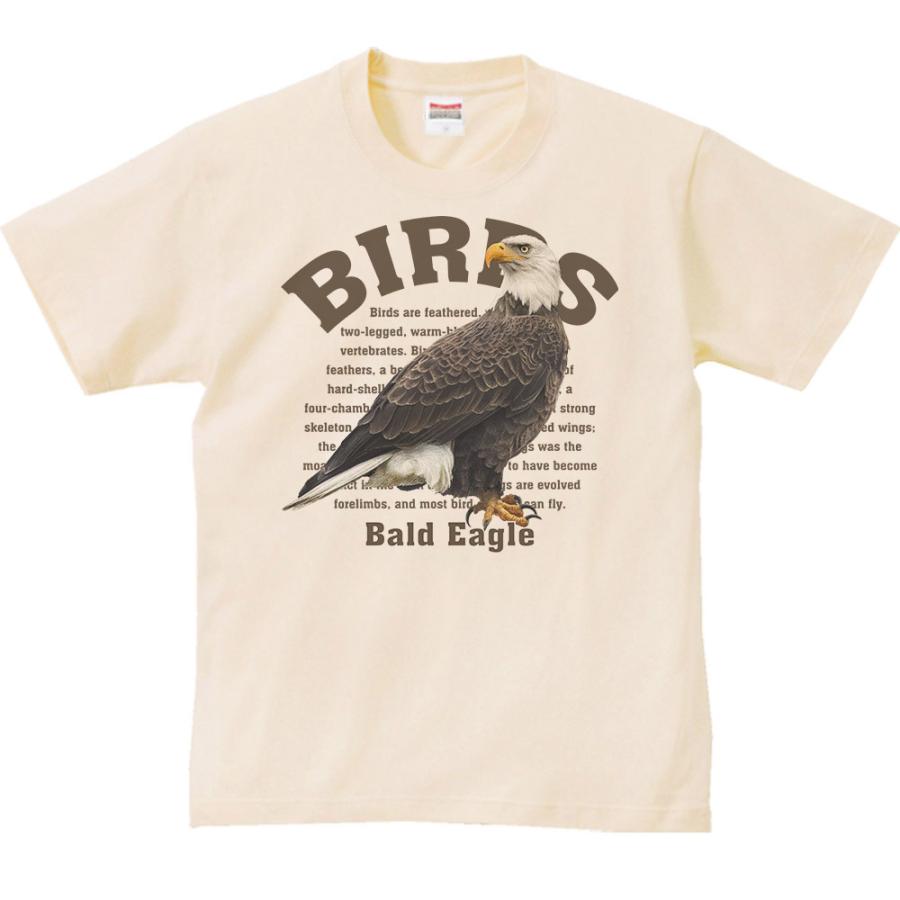 ハクトウワシ（白頭鷲）鳥シリーズ/半袖Ｔシャツ |  | 01