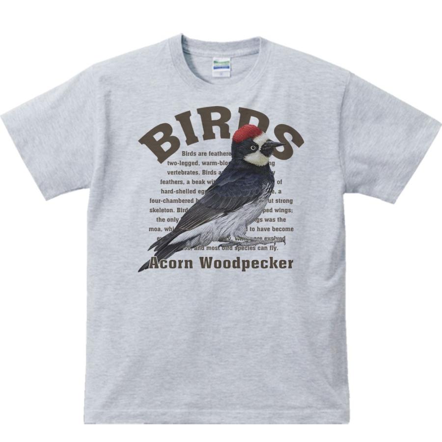 ドングリ キツツキ（鳥シリーズ）/半袖Ｔシャツ | 