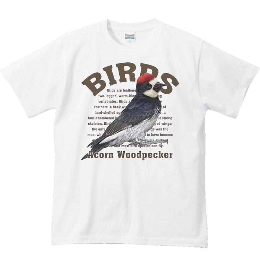 ドングリ キツツキ（鳥シリーズ）/半袖Ｔシャツ |  | 01