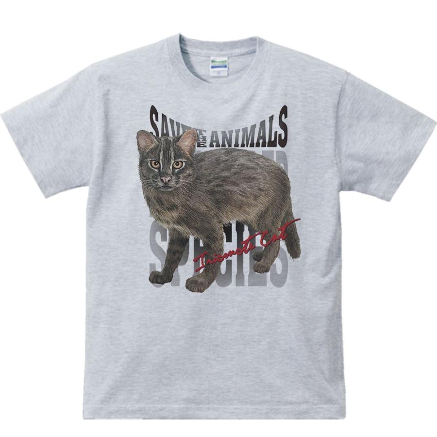 イリオモテヤマネコ（絶滅危惧動物）/半袖Ｔシャツ | 
