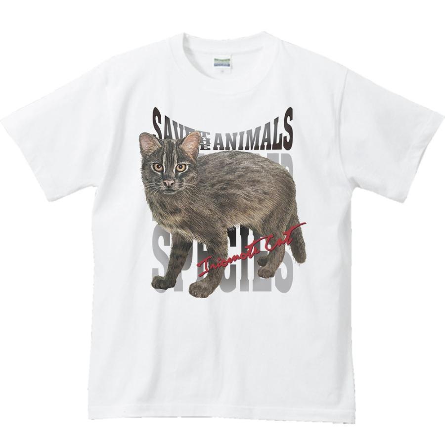 イリオモテヤマネコ（絶滅危惧動物）/半袖Ｔシャツ |  | 01