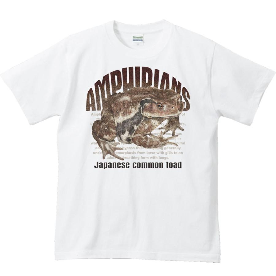 ヒキガエル 蛙 両生類シリーズ 半袖ｔシャツ St513 Myds 通販 Yahoo ショッピング
