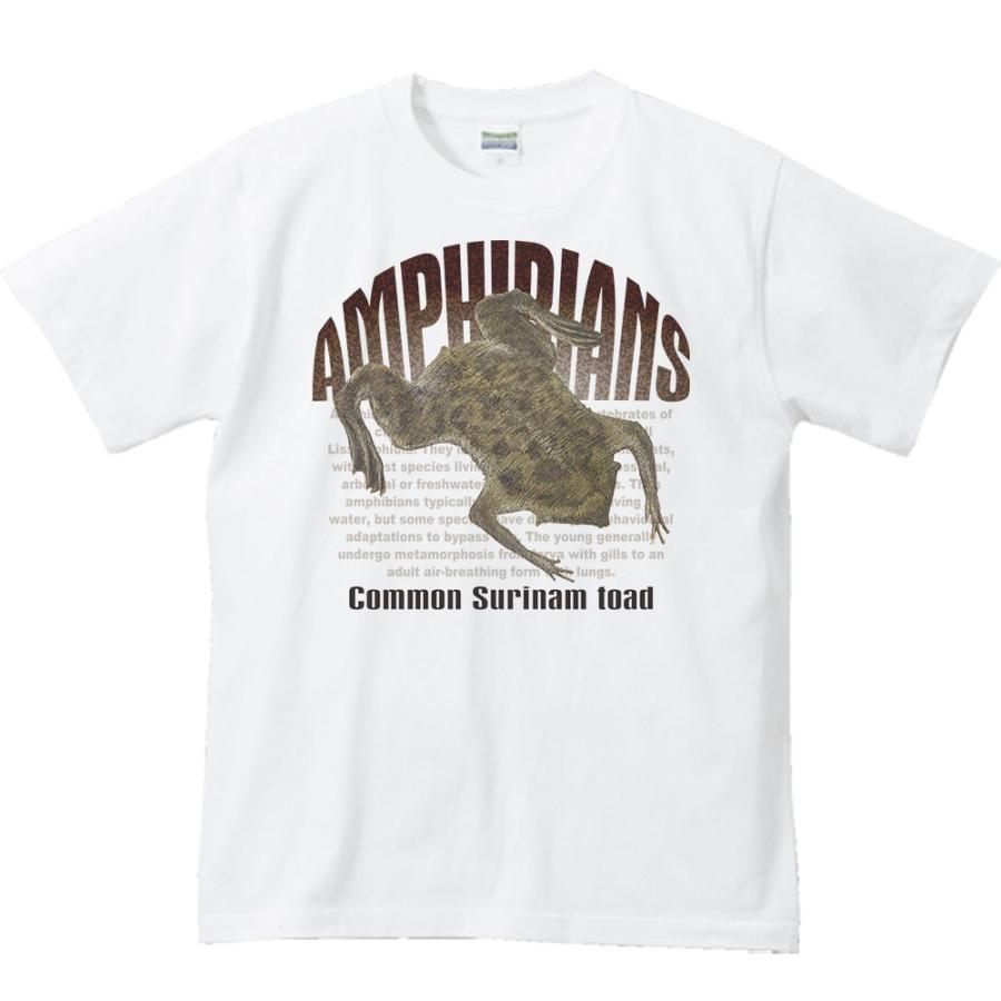 ピパピパ 蛙 両生類シリーズ 半袖ｔシャツ St515 Myds 通販 Yahoo ショッピング