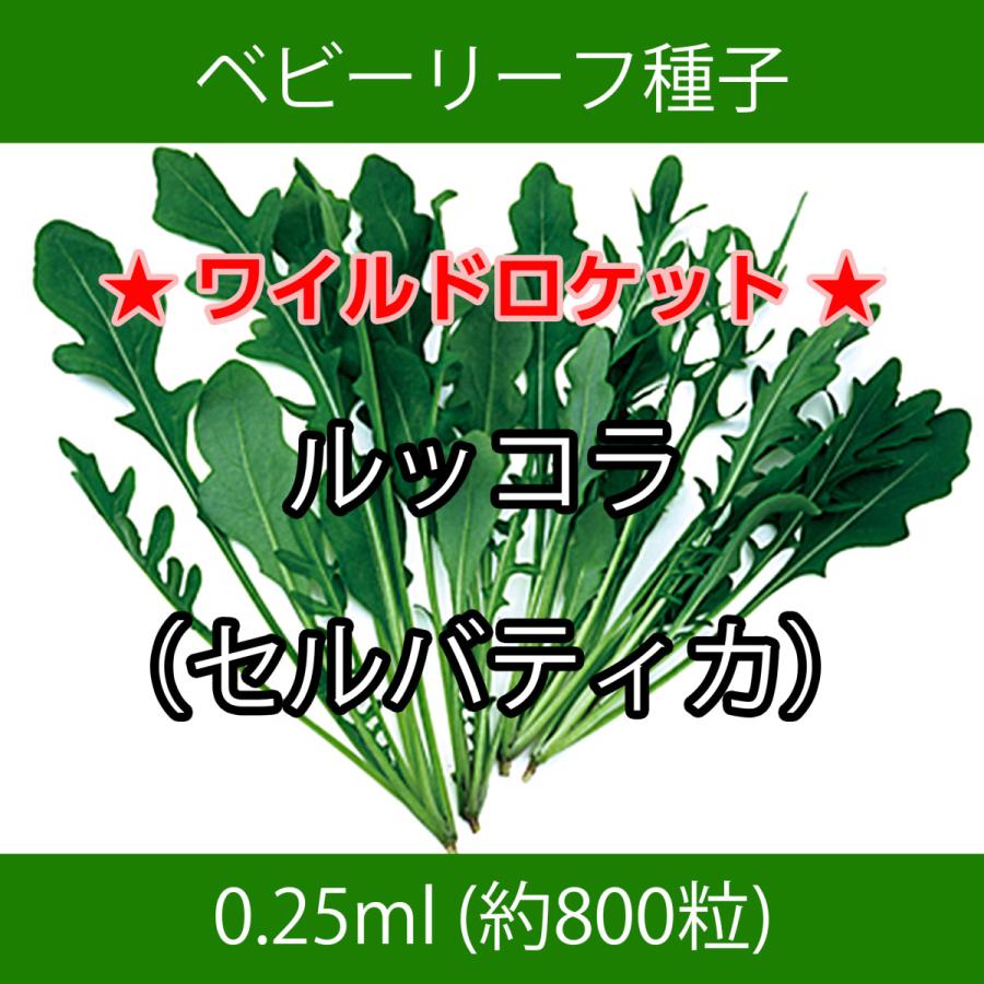 ベビーリーフ種子 B-30 ルッコラ（セルバティカ）0.25ml｜printstudio-jp