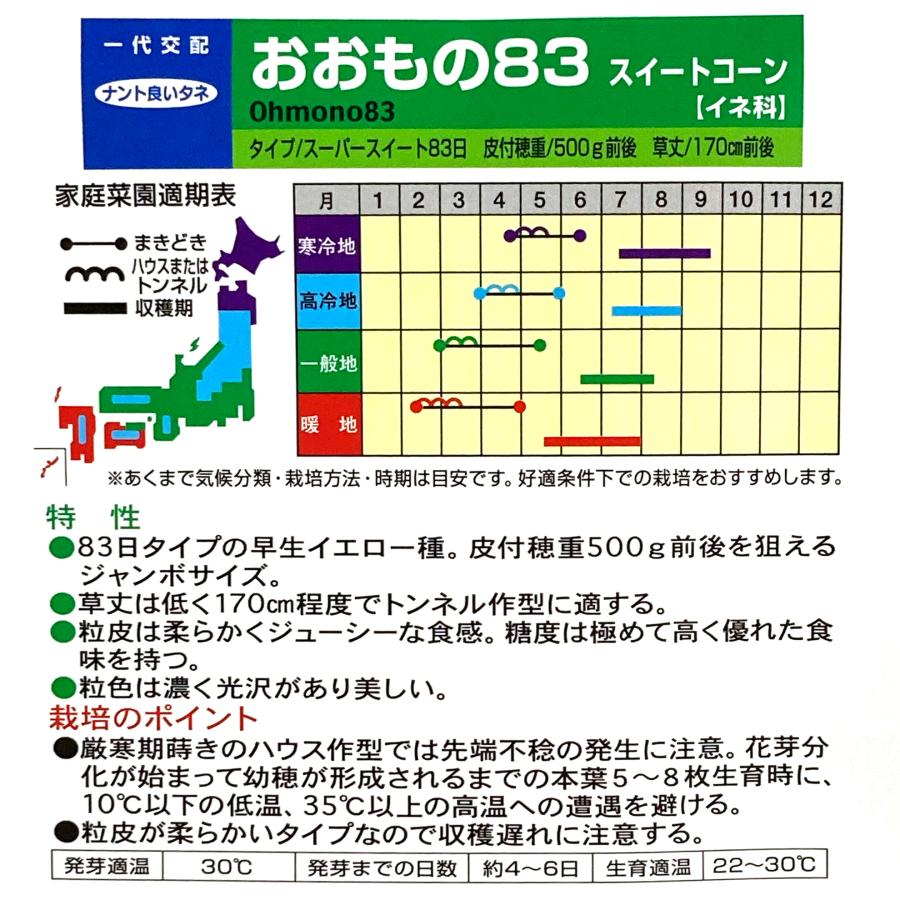 野菜種子 EAW おおもの83 10粒｜printstudio-jp｜03