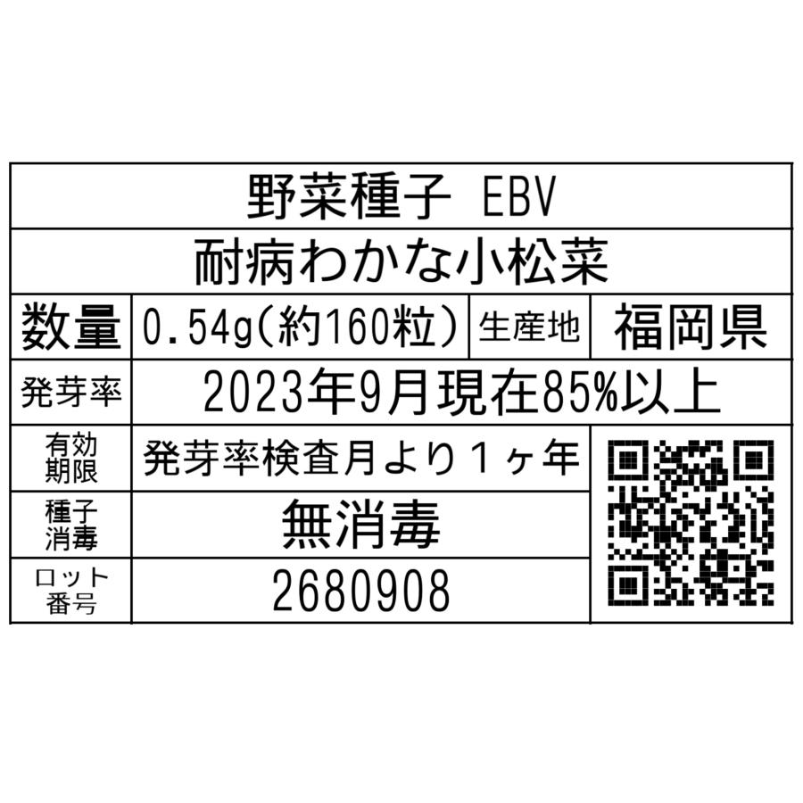 野菜種子 EBV 耐病わかな小松菜 0.54g｜printstudio-jp｜04