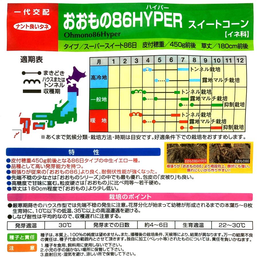 野菜種子 ECP おおもの86HYPER 10粒｜printstudio-jp｜03