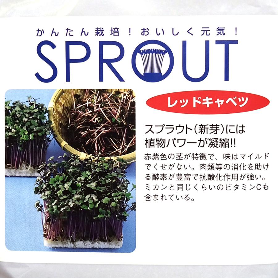 新品本物 スプラウト種子 S-02 レッドキャベツ 5ml spurs.sc