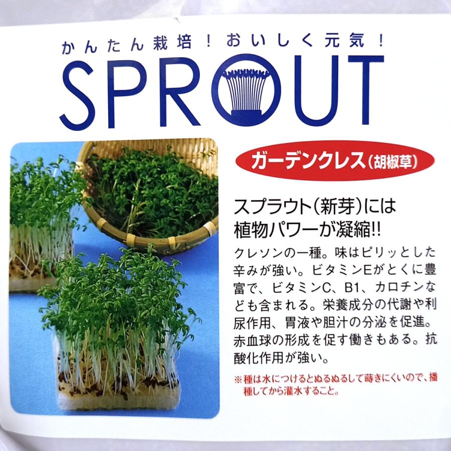 スプラウト種子 S-09 ガーデンクレス（胡椒草） 5ml｜printstudio-jp｜02