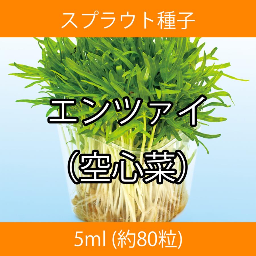 スプラウト種子 S-14 エンツァイ（空心菜） 5ml
