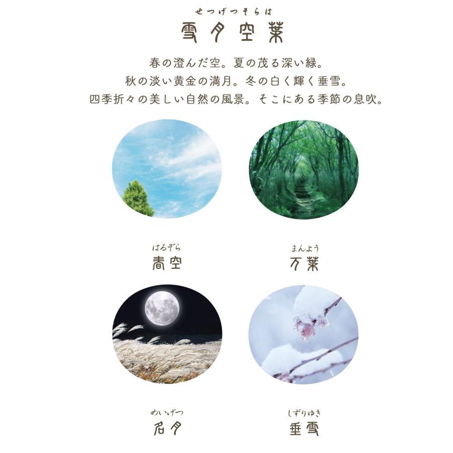 本日ポイント10倍 (取り寄せ品)セーラー万年筆 四季織 SHIKIORI 万年筆 雪月空葉11-1224 SSP 全8種から選択_1