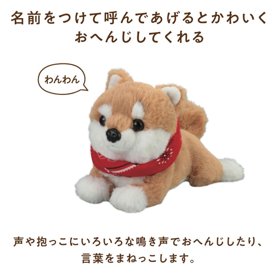 アーテック Artec 音声認識ぬいぐるみ よんで! だっこして! おへんじアニマル2 柴犬_1