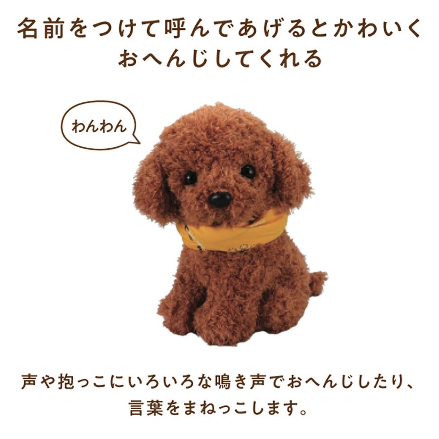 当店ポイント10倍 アーテック Artec 音声認識ぬいぐるみ よんで! だっこして! おへんじアニマル2 トイプードル | アーテック | 01