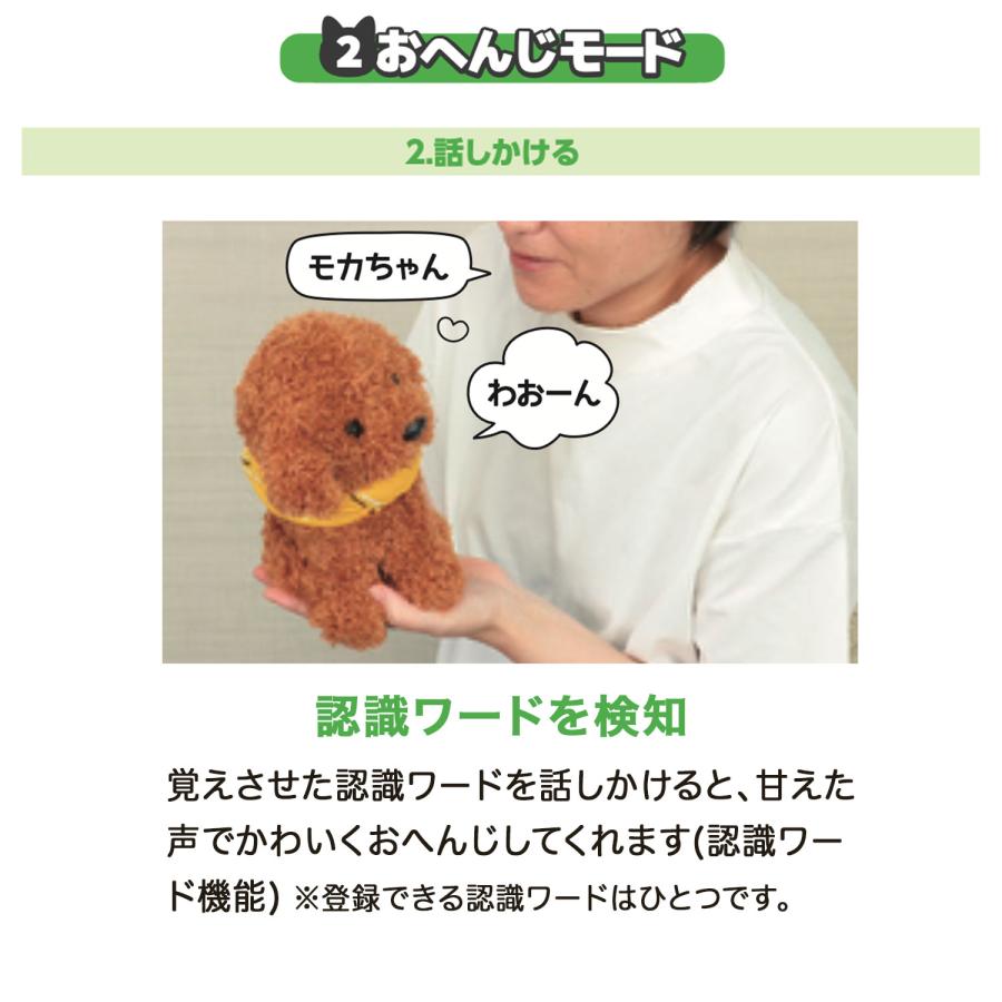 当店ポイント10倍 アーテック Artec 音声認識ぬいぐるみ よんで! だっこして! おへんじアニマル2 トイプードル | アーテック | 06