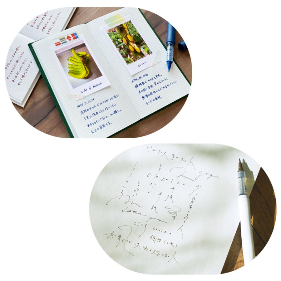 呉竹 Kuretake ZIG LETTER PEN COCOIRO ココイロ 極細ブラック LPCF010 全8色から選択 |  | 13