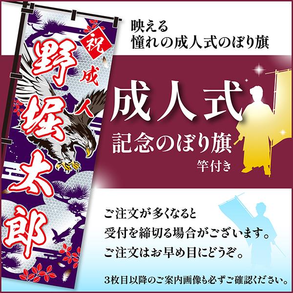 卒業 入学 等に変更可能 成人式 のぼり旗 黒帯 黒ポール付き 柄 109 銀