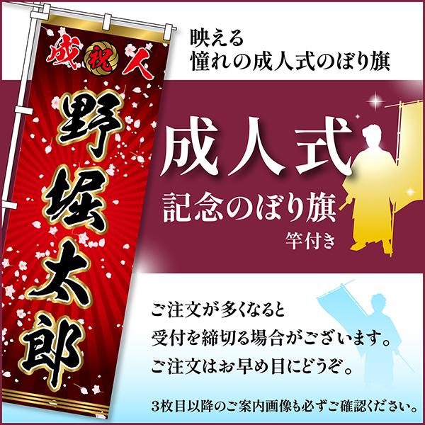 卒業 入学 に変更可能 成人式 のぼり旗 ポール付き 柄 110 桜