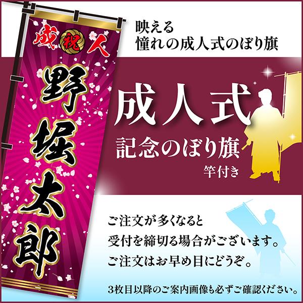 今日はポイント10倍 卒業 入学 等に変更可能 成人式 のぼり旗 黒帯 黒