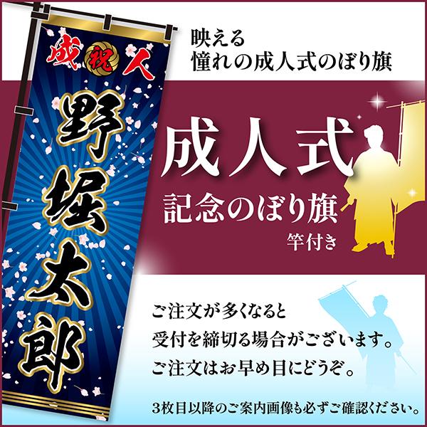 卒業 入学 等に変更可能 成人式 のぼり旗 黒帯 黒ポール付き 柄 114 桜