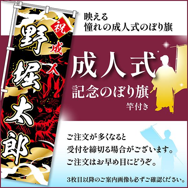 本日ポイント5倍 卒業 入学 に変更可能 成人式 のぼり旗 ポール 本日ポイント5倍 卒業 入学 に変更可能 成人式 のぼり旗 ポール