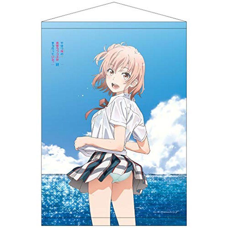 やはり俺の青春ラブコメはまちがっている 続 結衣 海 描き下ろしb2タペストリー その他テレビ アニメ キャラクターグッズ Arrowspeedline Com Vn