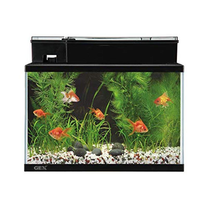 ジェックス 水槽 マリーナ450bkst デュアルクリーンセット Prior 通販 Yahoo ショッピング